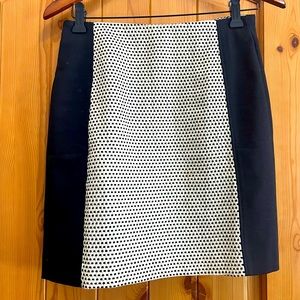 Ann Taylor Loft skirt